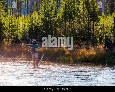 Am frühen Morgen Blick auf Fliegenfischer, Madison River, Yellowstone-Nationalpark, Wyoming, USA Stockfoto