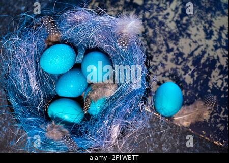 Mystisch färbende Ostereier mit Zweigen in einem dekorativen Nest auf blauem Hintergrund. Hintergrund mit Kopierbereich. Selektiver Fokus Stockfoto