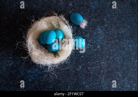 Mystisch färbende Ostereier mit Zweigen in einem dekorativen Nest auf blauem Hintergrund. Hintergrund mit Kopierbereich. Selektiver Fokus Stockfoto