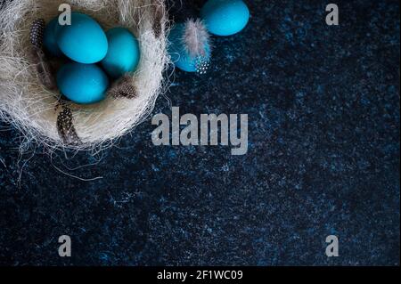 Mystisch färbende Ostereier mit Zweigen in einem dekorativen Nest auf blauem Hintergrund. Hintergrund mit Kopierbereich. Selektiver Fokus Stockfoto