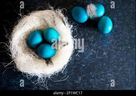 Mystisch färbende Ostereier mit Zweigen in einem dekorativen Nest Auf blauem Hintergrund Stockfoto