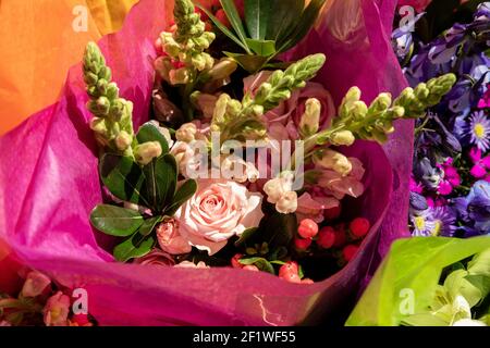 Rosa Bouquet von süßen Erbsenblumen und Rosen in Gewebe bei einem Floristen eingewickelt. Stockfoto