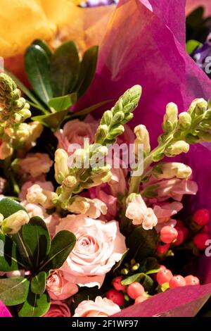 Rosa Bouquet von süßen Erbsenblumen und Rosen in Gewebe bei einem Floristen eingewickelt. Stockfoto