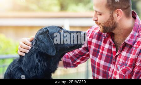 Bärtiger Mann mit labrador Retriever Freundschaft Stockfoto