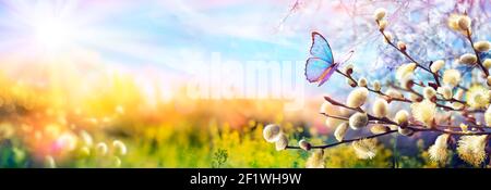 Abstrakte Defokussierte Frühlingsszene - Schmetterling Auf Kätzchen Äste In Sonnige Landschaft Stockfoto