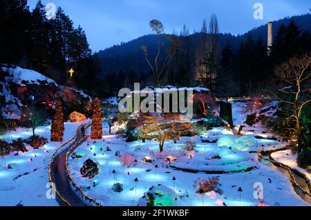 Winter im Sunken Garden, den Butchart Gardens, Brentwood Bay, British Columbia, Kanada. Stockfoto