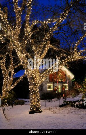 Weihnachtsbeleuchtung in Butchart Gardens, Brentwood Bay, BC, Kanada. Stockfoto