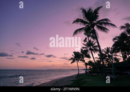 Palmen Silhouetten auf tropischen Strand während bunten Sonnenuntergang. Stockfoto