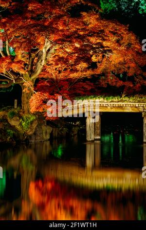 Herbstlaub Bild von einem japanischen Garten Stockfoto