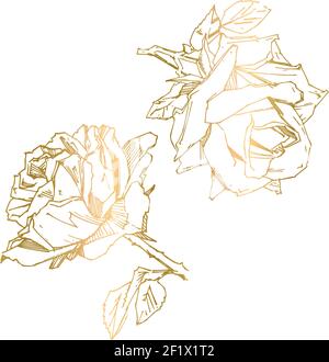 Handgezeichnete Rose. Vektorgrafik. Vintage Tattoo Stil Rose. Blume Motiv Skizze für Design. Stock Vektor