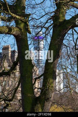 Der berühmte BT Tower, der der BT Group gehört, ist in der Ferne unscharf, fotografiert durch Laub vom Regent's Park im Zentrum Londons. Stockfoto