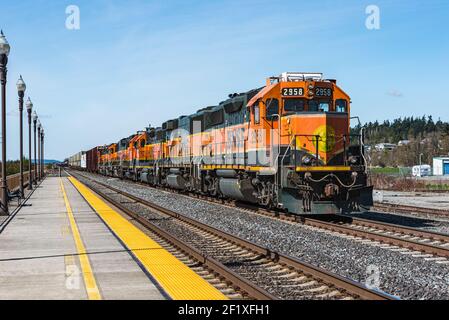 Eine große Anzahl von Lokomotiven führt einen BNSF-Güterzug Richtung Süden durch Stanwood im Bundesstaat Washington Stockfoto