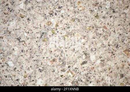 Grauer Granit, die Oberfläche von Naturstein mit großen Einschlüssen von dunkler Farbe. Hintergrund, Muster, Textur. Stockfoto