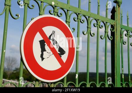 Keine Hunde erlaubt Schild, Cercy-la-Tour, Nievre, Burgund, Frankreich Stockfoto