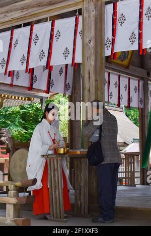 Japanische Priesterin, Otsu, Präfektur Shiga, Japan Stockfoto