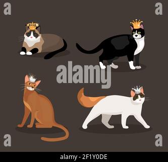 Set von vier Katzen mit Kronen mit verschiedenfarbigen Fell Eine stehende Walking liegend und sitzend Vektor-Illustration Stock Vektor