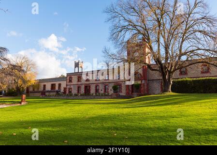 Yalumba ist ein australisches Weingut in der Nähe der Stadt Angaston, Südaustralien, in der Weinregion Barossa Valley Stockfoto