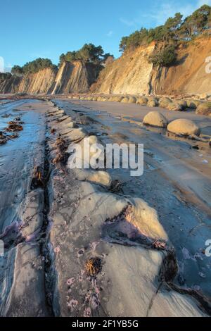 Bowling Ball Strand bei Sonnenuntergang, Mendocino County, Kalifornien Stockfoto