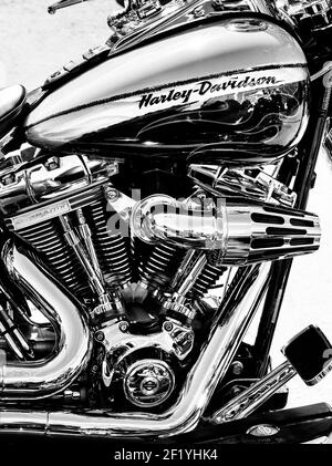 Harley Davidson Motorrad. Schwarz und Weiß Stockfoto