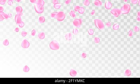 Rosa Rose Blütenblatt fallenden Hintergrund. Konfetti mit Blütenblättern. Vektor eps 10. Vektor-Illustration mit rosa Rosenblättern. Stock Vektor