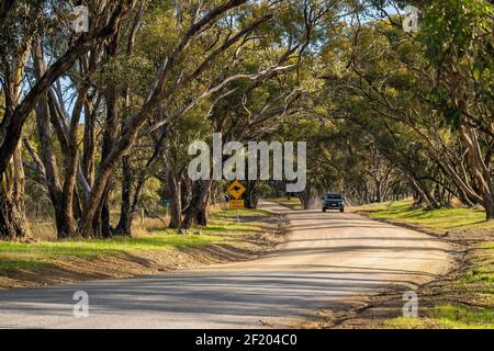 Kangaroo Schild entlang der Landstraße mit dem Auto im Hintergrund am Onkaparinga River National Park an einem Tag, South Australia Stockfoto
