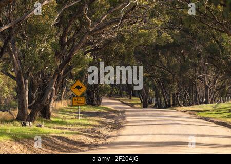Kangaroo Warnung neben der Landstraße im Onkaparinga River National Park an einem Tag, South Australia Stockfoto