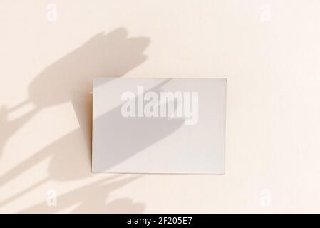 Leere Karte Mockup auf hellem pastellfarbenem Hintergrund mit launischen Tulpenblumen Schatten und Kopierraum. Stockfoto
