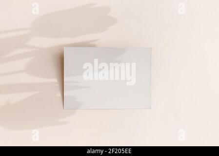 Leere Karte Mockup auf hellem pastellfarbenem Hintergrund mit launischen Tulpenblumen Schatten und Kopierraum. Stockfoto