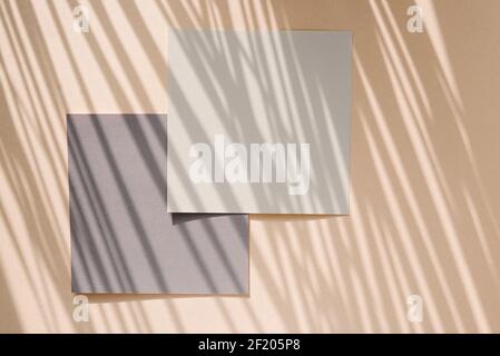 Leeres Papier auf beige mit tropischem Palmschatten Hintergrund mit Kopierraum. Stockfoto
