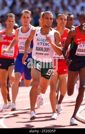 Taoufik Makhloufi (ALR) tritt in 1500 Meter Männer während der IAAF-Weltmeisterschaft, Peking 2015, im Nationalstadion, in Peking, China, Tag 5, am 26. August, 2015 - Foto Julien Crosnier / KMSP / DPPI Stockfoto