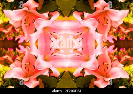 Strukturierte Hintergründe für Banner und Webseiten, Spiele usw... Bunte Hintergründe, mit sich wiederholenden floralen Themen. Stockfoto