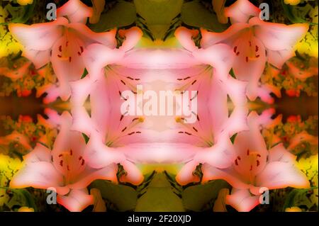 Strukturierte Hintergründe für Banner und Webseiten, Spiele usw... Bunte Hintergründe, mit sich wiederholenden floralen Themen. Stockfoto