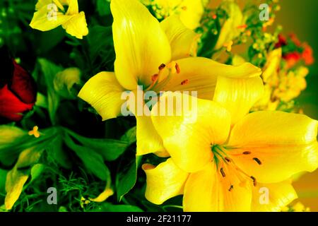 Strukturierte Hintergründe für Banner und Webseiten, Spiele usw... Bunte Hintergründe, mit sich wiederholenden floralen Themen. Stockfoto