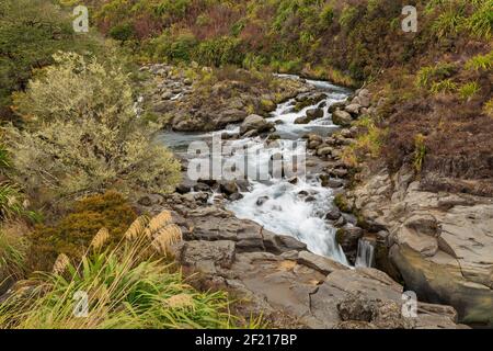 Die Mahuia Rapids am Pukeonake Stream, Tongariro National Park, Neuseeland Stockfoto