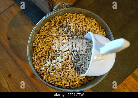 Eimer Pellets, Brennstoff für heimische Biomasseöfen. Selektiver Fokus in der Bildmitte Stockfoto