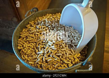 Eimer Pellets, Brennstoff für heimische Biomasseöfen. Selektiver Fokus in der Bildmitte Stockfoto