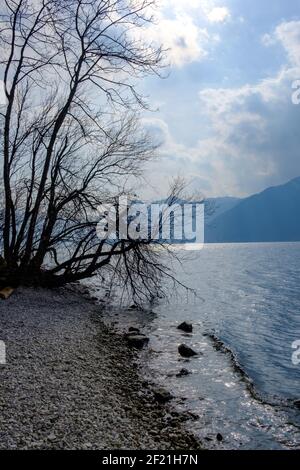 Ostküste des traunsees bei gmunden im oberen Teil österreichische Region salzkammergut Stockfoto