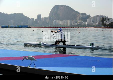 Ambiance Lagoa Stadium während der Olympischen Spiele RIO 2016, Boxen, am 17. August 2016, in Rio, Brasilien - Foto Jean Marie Hervio / KMSP / DPPI Stockfoto