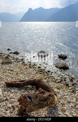 Ostküste des traunsees bei gmunden im oberen Teil österreichische Region salzkammergut Stockfoto