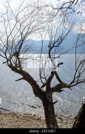 Ostküste des traunsees bei gmunden im oberen Teil österreichische Region salzkammergut Stockfoto