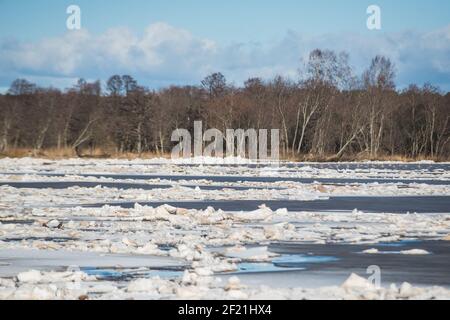 Hochwasser im Frühling. Sedimentation von Eisblöcken in einem Fluss, der einen Eisblock bildet. Stockfoto