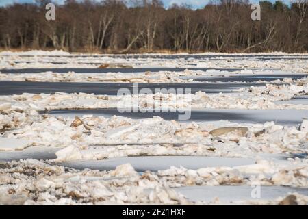 Hochwasser im Frühling. Sedimentation von Eisblöcken in einem Fluss, der einen Eisblock bildet. Stockfoto