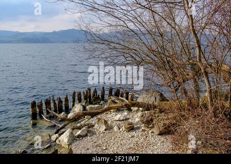 Ostküste des traunsees bei gmunden im oberen Teil österreichische Region salzkammergut Stockfoto