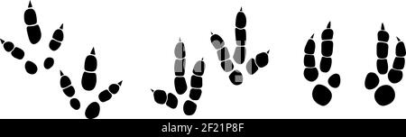 Dinosaurier Fußabdruck Spuren Vektor-Set Illustration. Hintergrund mit Pfote, Klaue Raubtier. Dinosaurier Fußabdruck Illustration perfekt für Textil, Wrap und Tapete und Design Stock Vektor