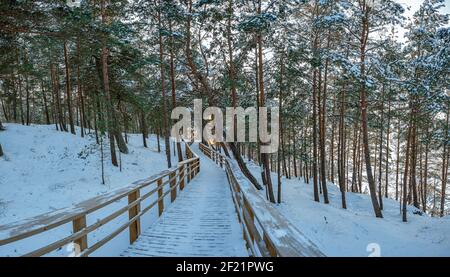 Blick auf verschneiten Kiefernwald und Holzpfad für entspannende Spaziergänge. Bedeckt mit Pinien, Tannen und Fichten. Stockfoto