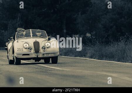 CAGLI, ITALIEN - Mar 06, 2021: CAGLI , ITALIEN - OTT 24 - 2020 : ferrari Mundial ein alter Rennwagen in Rallye Mille Miglia 2020 die berühmte italienische Historica Stockfoto