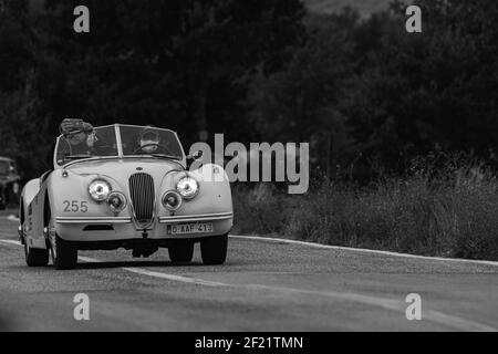 CAGLI, ITALIEN - 22. Okt 2020: CAGLI , ITALIEN - OTT 24 - 2020 : JAGUAR XK 120 SE OTS 1954 auf einem alten Rennwagen in Rallye Mille Miglia 2020 das berühmte ital Stockfoto
