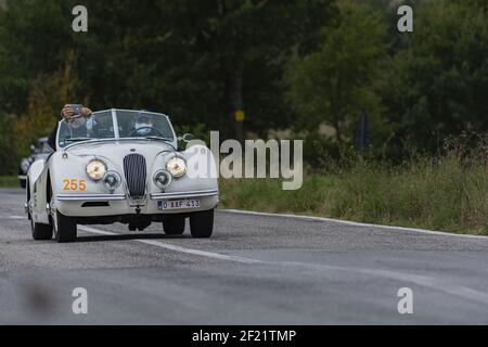 CAGLI, ITALIEN - 06. Mär 2021: CAGLI , ITALIEN - OTT 24 - 2020 : JAGUAR XK 120 SE OTS 1954 auf einem alten Rennwagen in Rallye Mille Miglia 2020 das berühmte ital Stockfoto