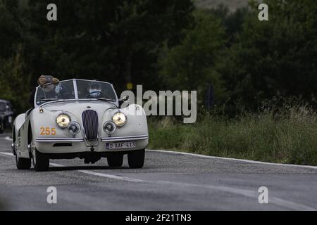 CAGLI, ITALIEN - 22. Okt 2020: CAGLI , ITALIEN - OTT 24 - 2020 : JAGUAR XK 120 SE OTS 1954 auf einem alten Rennwagen in Rallye Mille Miglia 2020 das berühmte ital Stockfoto