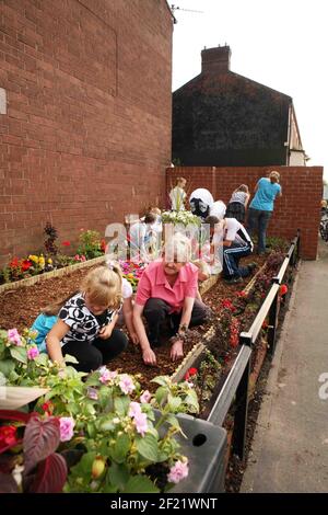 Newton Heath in Manchester bereitet sich auf das britische "Bloom Competition" vor Marlene Garnett, die mit Hilfe von einheimischen Volenteerkindern (ECO YOUTH) viele Stunden auf der Pflege der Gärten, hängenden Körben usw. in Newton Heath Pic David Sandison verbringt Stockfoto